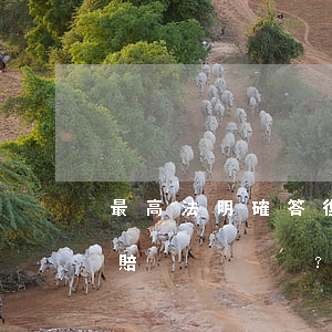 最高法明確答復：交通事故車輛貶值到底賠不賠？